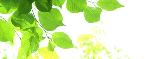 快糖茶 かいとうちゃ販売サイトへ